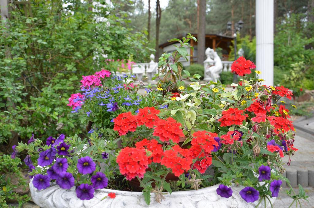 Bed&Breakfast Maciejanka Kobyla Góra Exterior foto